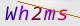 wpdiscuz_captcha