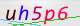 wpdiscuz_captcha