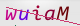 wpdiscuz_captcha