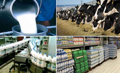 Tunisie : L’UTAP réclame une hausse du prix du lait de 800 millimes/litre à la production