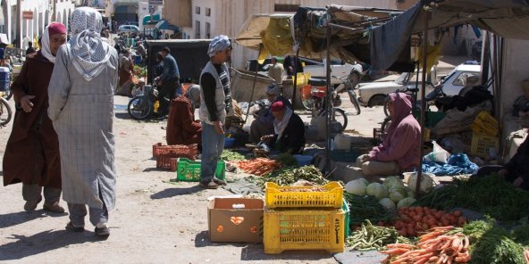 Les principales activités de l'économie informelle en Tunisie