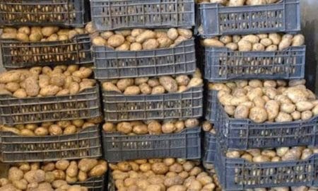Tunisie : Saisie de 82 tonnes de pommes de terre à Nabeul