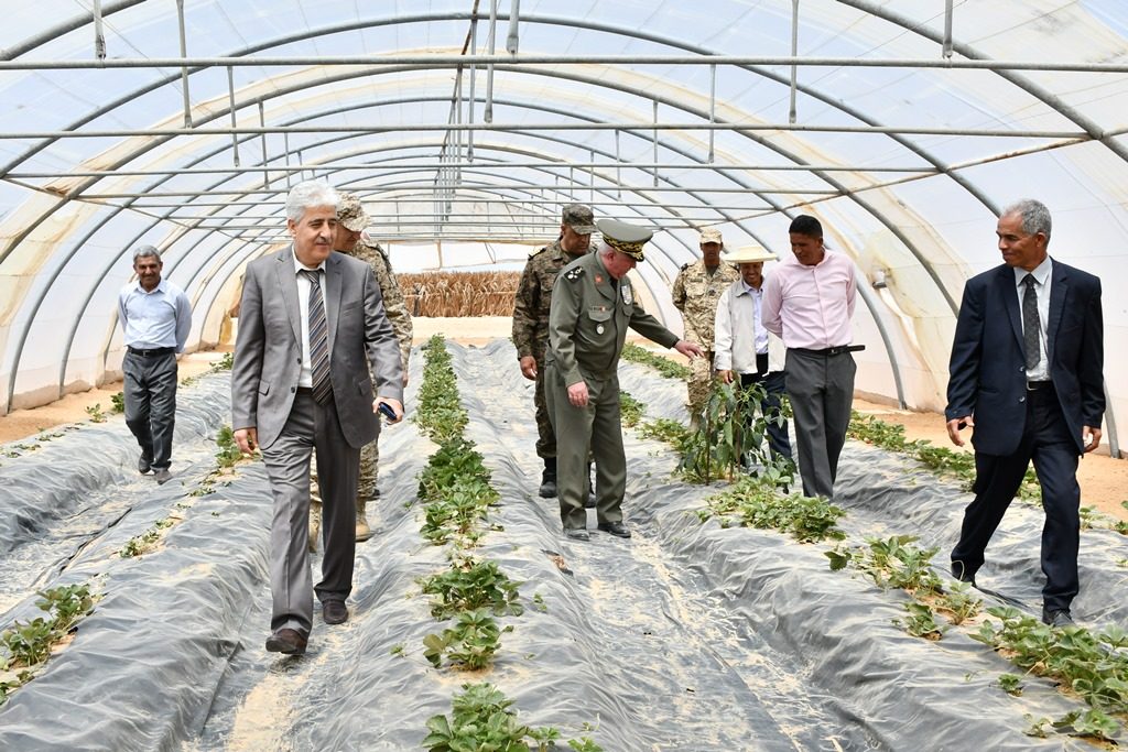 Le ministre de la Défense arpenter les nouvelles plantations à même de redonner vie à un milieu aride.